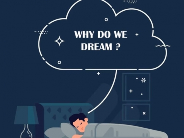 Why Do We Dream?