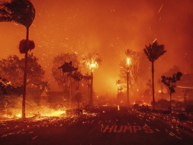 How did the Los Angeles wildfire start?